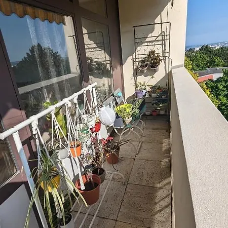 Rheingau Vinegard Getaways Holiday Privat bolig *